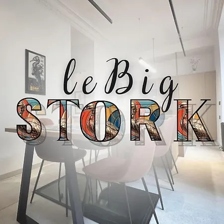 Le Big Stork - - Centre Historique Apartment *