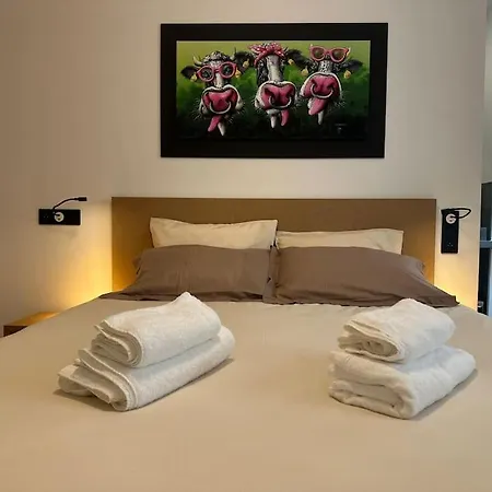 Apartment Le Big Stork - - Centre Historique *