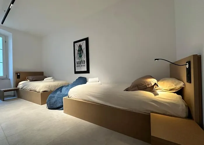 Le Big Stork - - Centre Historique Apartment