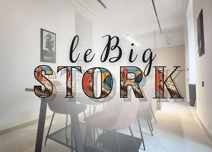 Le Big Stork - - Centre Historique 公寓 *