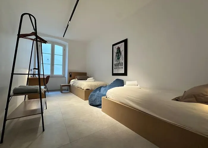 Apartment Le Big Stork - - Centre Historique