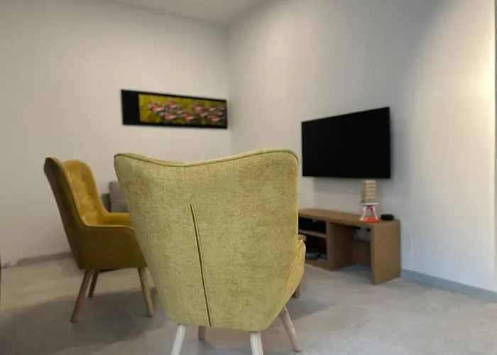 Le Big Stork - - Centre Historique 科尔马