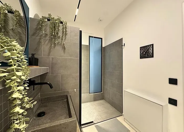 Le Big Stork - - Centre Historique Colmar