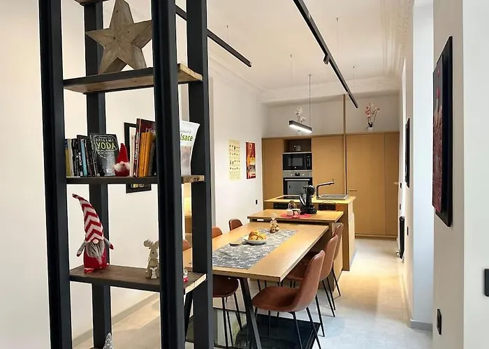 Le Big Stork - - Centre Historique 科尔马